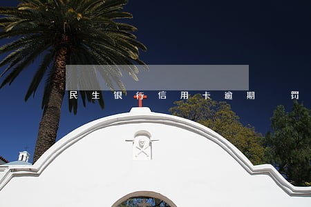 民生银行信用卡逾期 罚息 民生银行信用卡逾期 罚息
